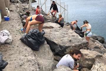Limpieza de la escollera sur del muelle de Taliarte (Foto Pedro Martel/Wendy Cruz)